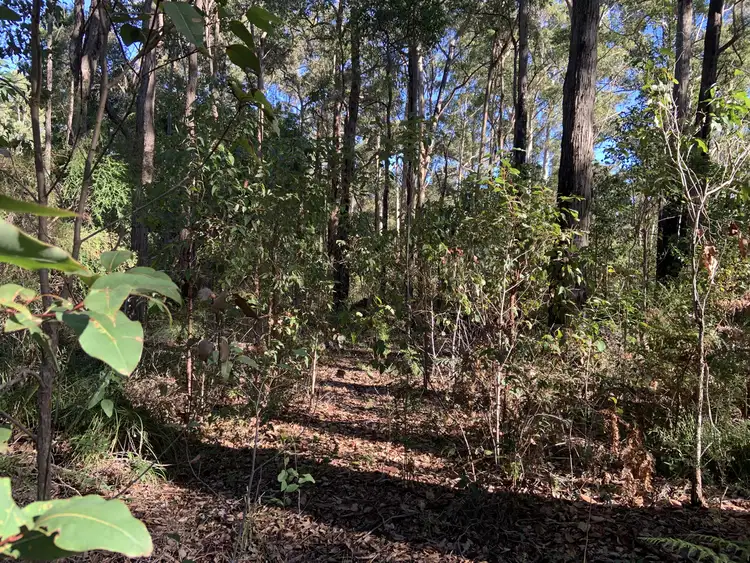 Sixth view of Homely land listing, Lot 18 Karri Lane, Quinninup WA 6258