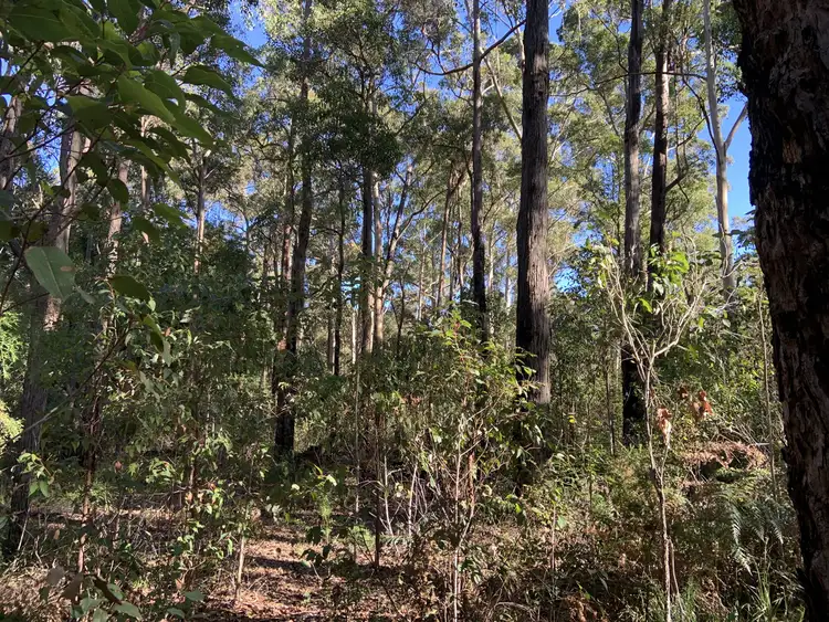 Seventh view of Homely land listing, Lot 18 Karri Lane, Quinninup WA 6258