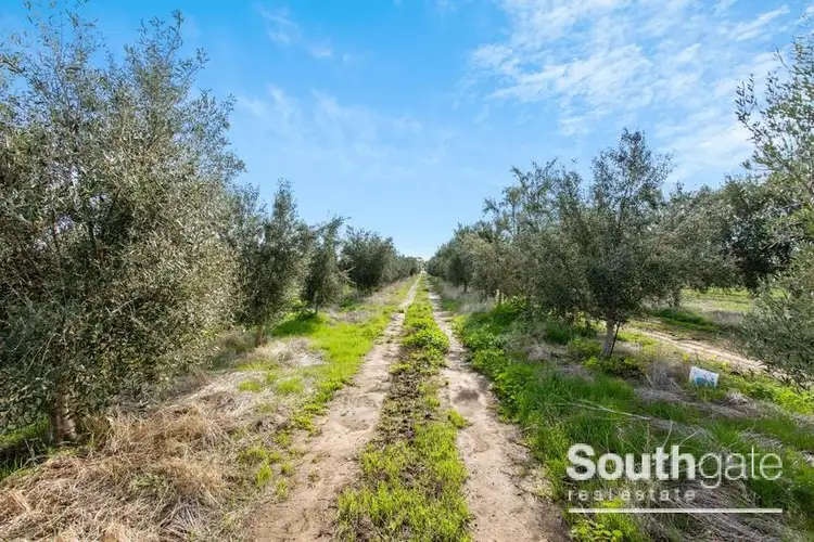 Seventh view of Homely rural property listing, 310 Aldinga Road, Whites Valley SA 5172