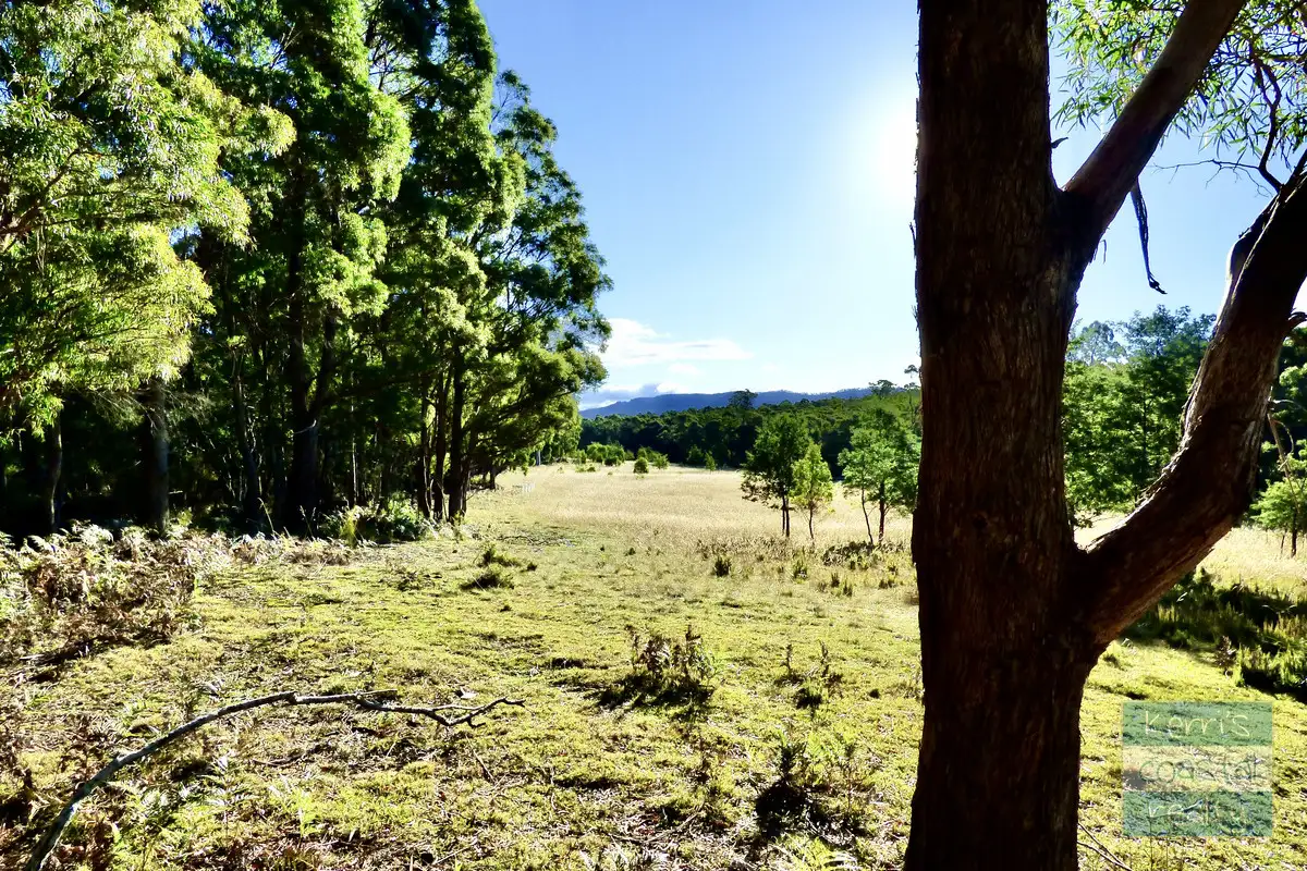 Main view of Homely land listing, LOT 2 Elephant Pass Road, St Marys TAS 7215