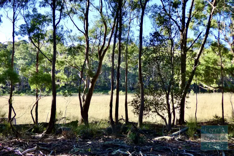 Third view of Homely land listing, LOT 2 Elephant Pass Road, St Marys TAS 7215