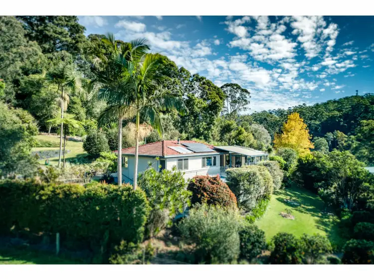 25 Scotchman Road, Bellingen NSW 2454