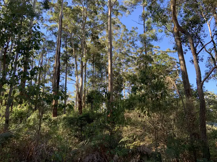 LOT 107, 9 TITREE Glen, Quinninup WA 6258