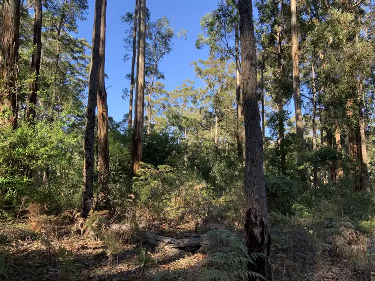 Fourth view of Homely land listing, LOT 107, 9 TITREE Glen, Quinninup WA 6258