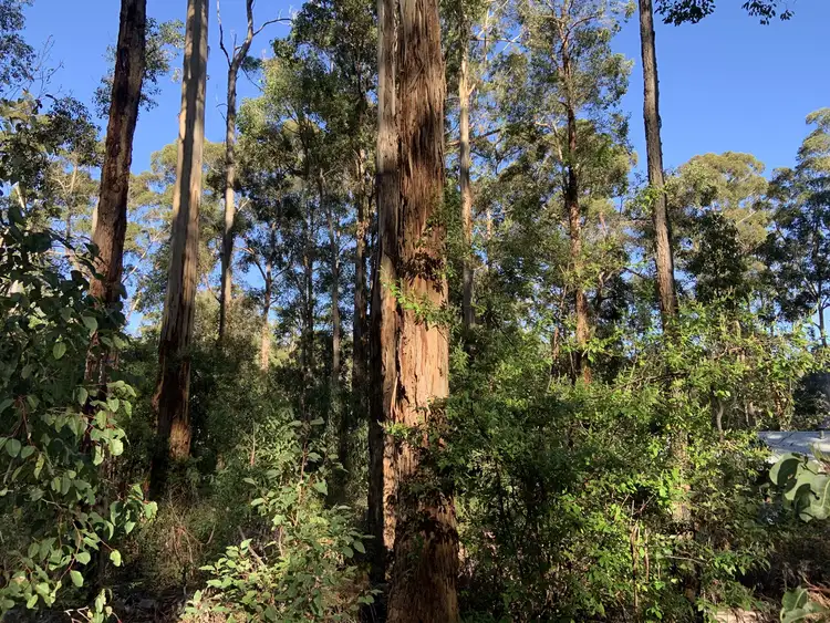 Seventh view of Homely land listing, LOT 107, 9 TITREE Glen, Quinninup WA 6258