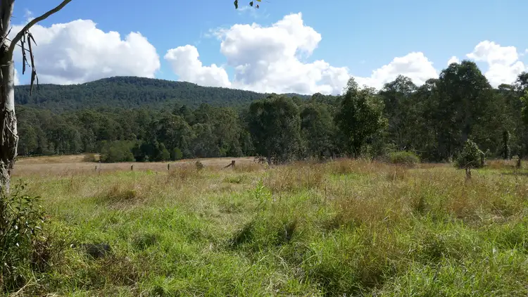 Second view of Homely rural property listing, 76 Mills Road, Bean Creek NSW 2469