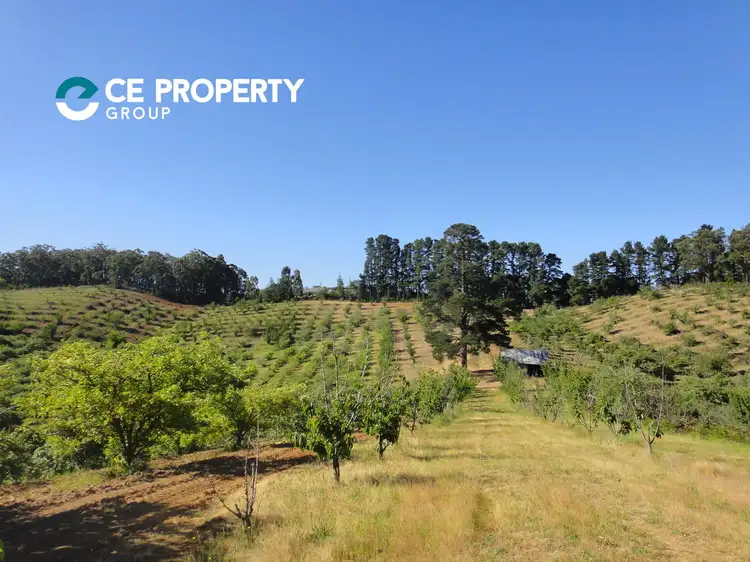 Main view of Homely rural property listing, 2, LOT 2 Leslie Road, Lenswood SA 5240