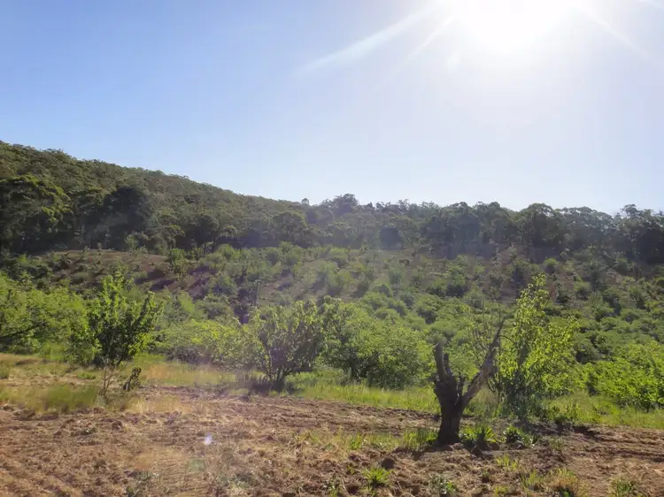 Second view of Homely rural property listing, 2, LOT 2 Leslie Road, Lenswood SA 5240