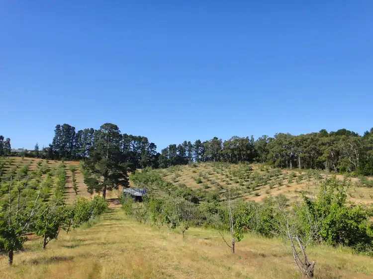 Third view of Homely rural property listing, 2, LOT 2 Leslie Road, Lenswood SA 5240