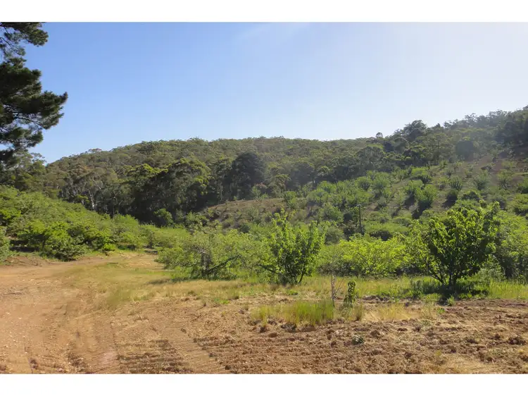 Fourth view of Homely rural property listing, 2, LOT 2 Leslie Road, Lenswood SA 5240
