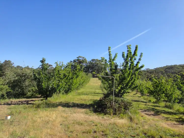 Seventh view of Homely rural property listing, 2, LOT 2 Leslie Road, Lenswood SA 5240