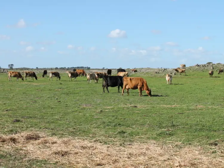 922 South Dreeite Road, Dreeite VIC 3249