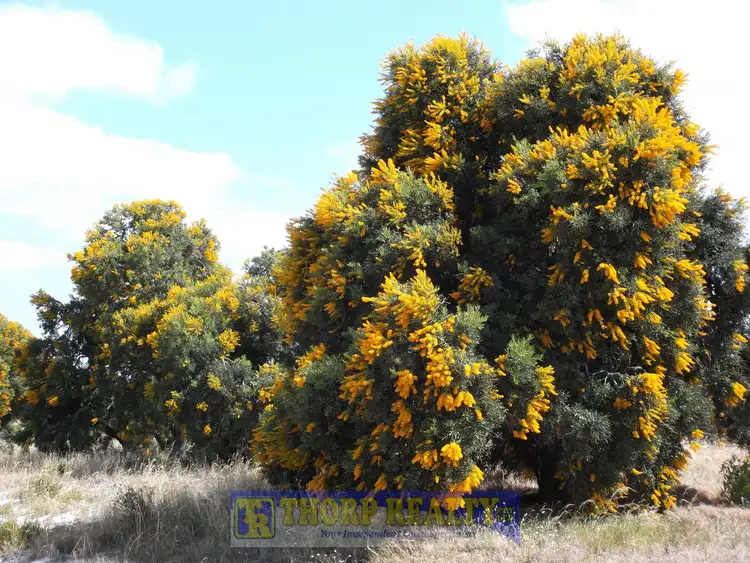 Sixth view of Homely land listing, Lot 32 Myrup Fly-In Estate, Myrup WA 6450