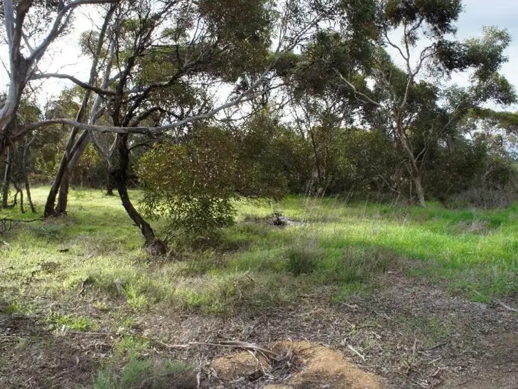 Third view of Homely land listing, 39-45 Kapinnie Road, Cummins SA 5631