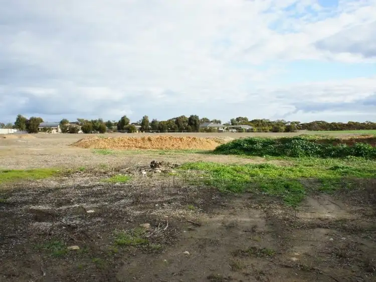 Fifth view of Homely land listing, 39-45 Kapinnie Road, Cummins SA 5631