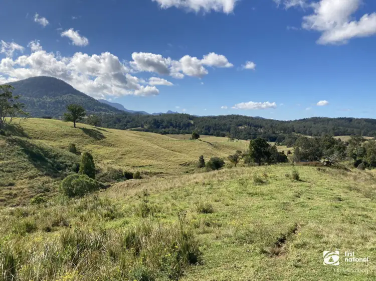 Lot 2 Limpinwood Road, Limpinwood NSW 2484