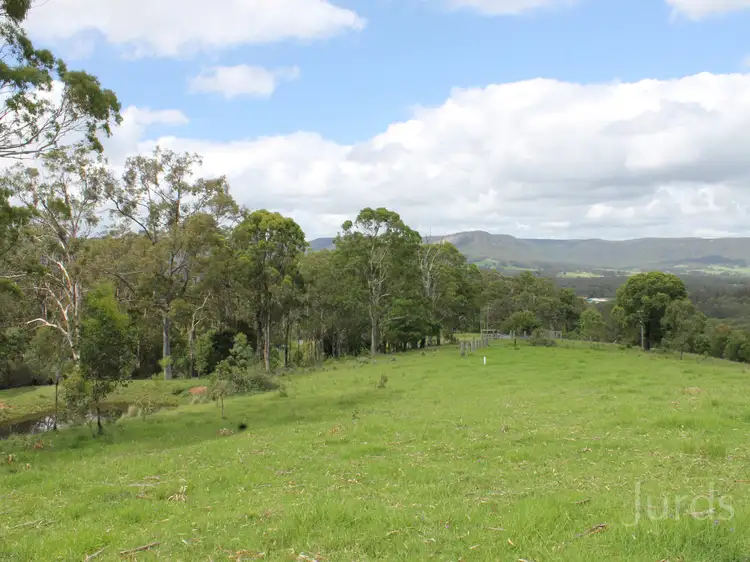 Main view of Homely rural property listing, Lot 2 Wollong Road, Quorrobolong NSW 2325