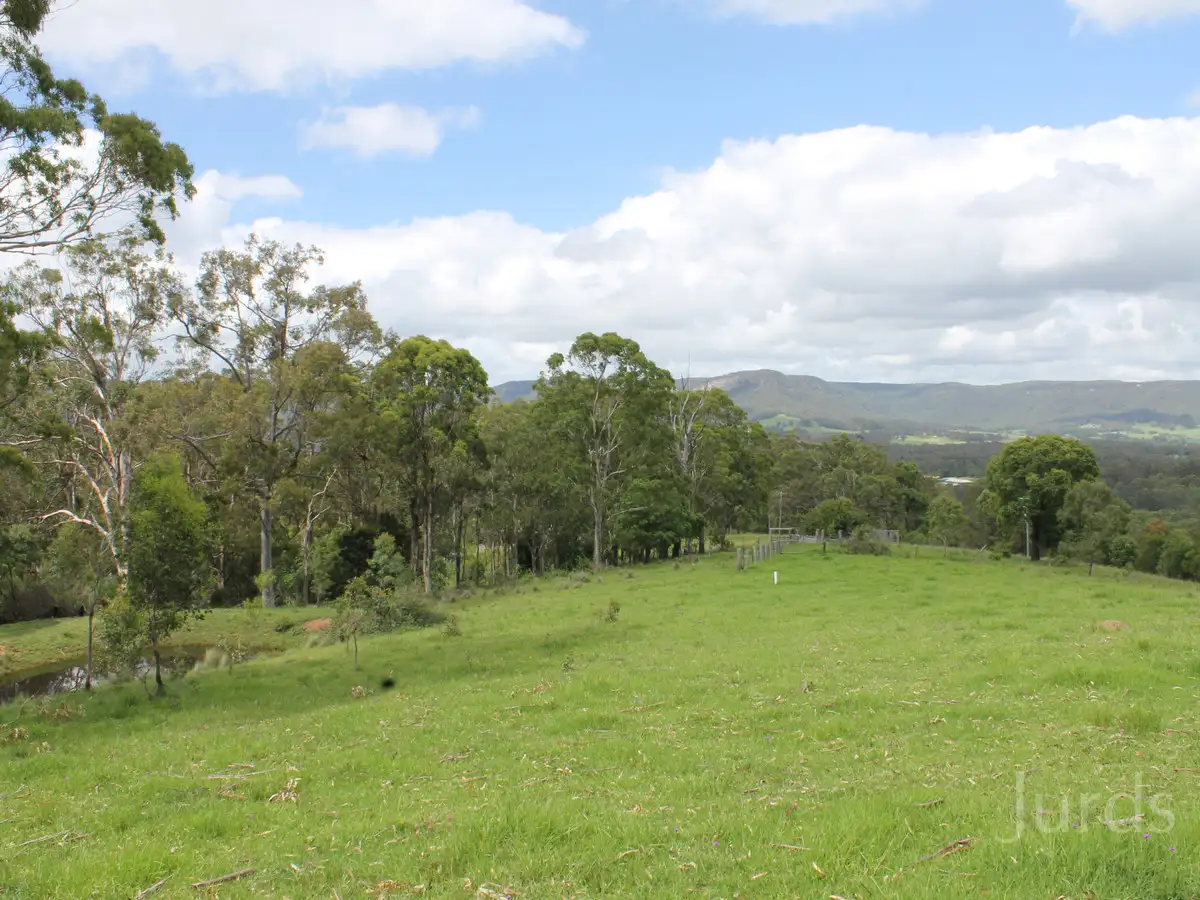 Main view of Homely rural property listing, Lot 2 Wollong Road, Quorrobolong NSW 2325