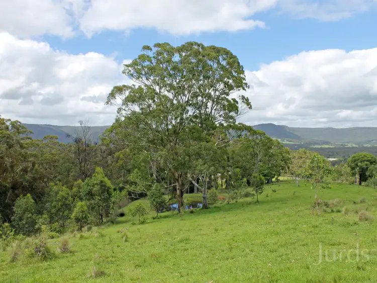 Fifth view of Homely rural property listing, Lot 2 Wollong Road, Quorrobolong NSW 2325