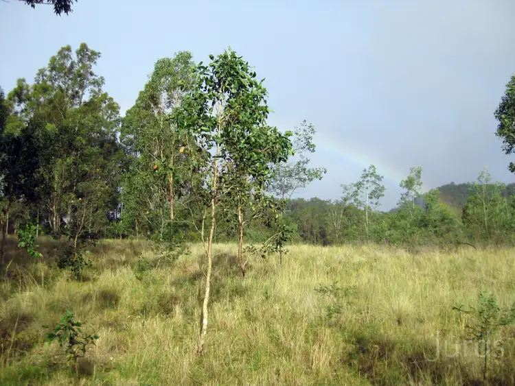 Second view of Homely rural property listing, 401 Wallaby Gully Road, Ellalong NSW 2325