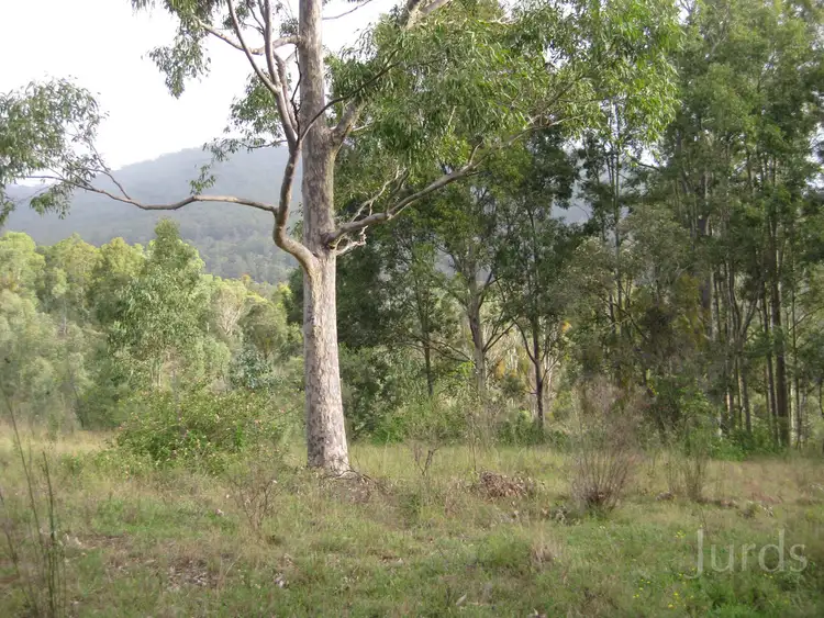 Fifth view of Homely rural property listing, 401 Wallaby Gully Road, Ellalong NSW 2325