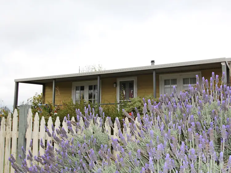 Fourth view of Homely rural property listing, 28 Summerhill Road, Branxton NSW 2335
