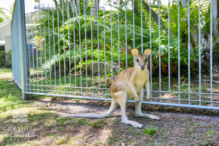 Third view of Homely unit listing, 138//2 Keem Street, Trinity Beach QLD 4879