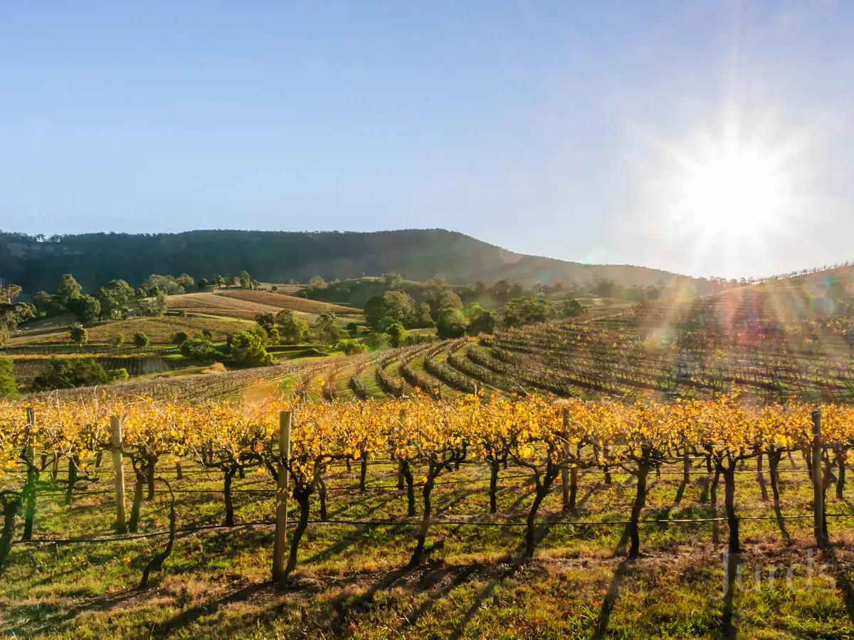 Main view of Homely rural property listing, 502 Mount View Road, Mount View NSW 2325