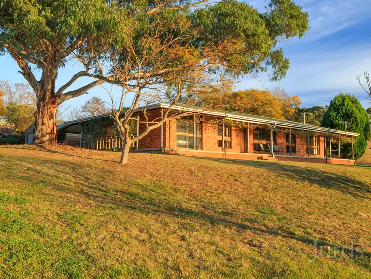 Second view of Homely rural property listing, 502 Mount View Road, Mount View NSW 2325