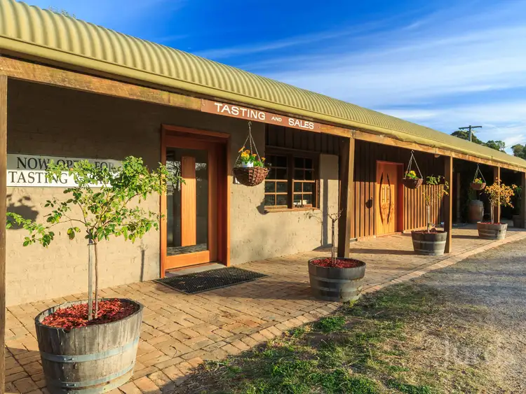 Fourth view of Homely rural property listing, 502 Mount View Road, Mount View NSW 2325