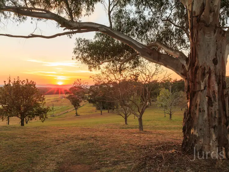 Fifth view of Homely rural property listing, 502 Mount View Road, Mount View NSW 2325