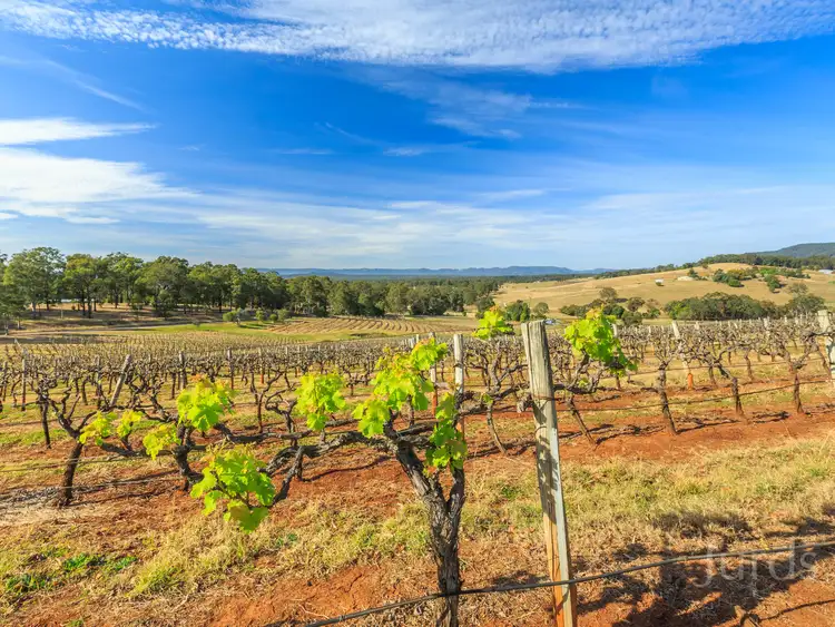 Sixth view of Homely rural property listing, 502 Mount View Road, Mount View NSW 2325