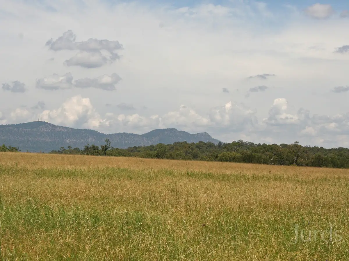 Main view of Homely rural property listing, L2 Old North Road, Pokolbin NSW 2320