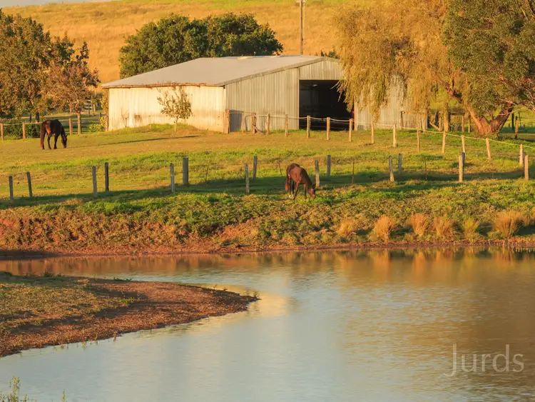 Fifth view of Homely rural property listing, 93 Luskintyre Road, Luskintyre NSW 2321