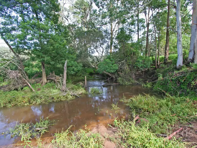 Seventh view of Homely rural property listing, 301 Watagan Creek Road, Laguna NSW 2325