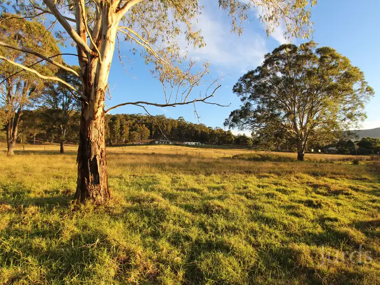 Main view of Homely rural property listing, 599 Congewai Road, Congewai NSW 2325