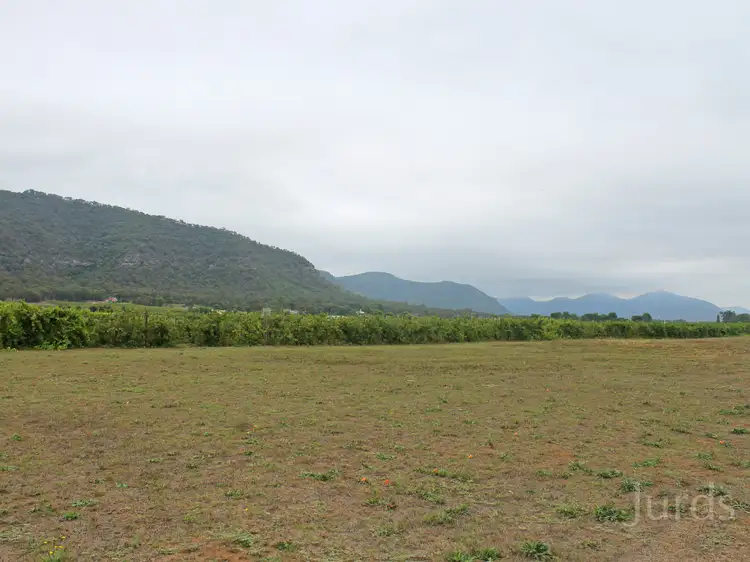 703 Milbrodale Road, Broke NSW 2330