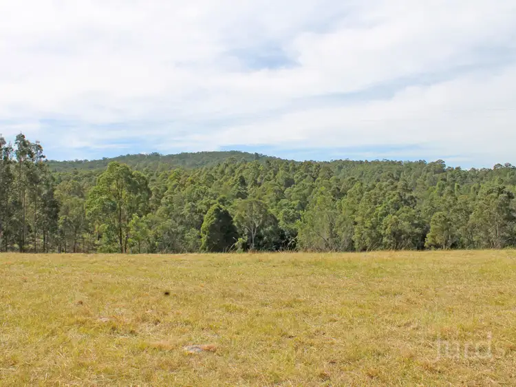 Second view of Homely rural property listing, Lot 200 Lewis Lane, Millfield NSW 2325