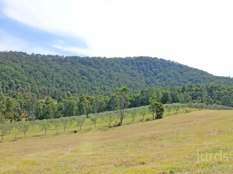 Third view of Homely rural property listing, Lot 200 Lewis Lane, Millfield NSW 2325