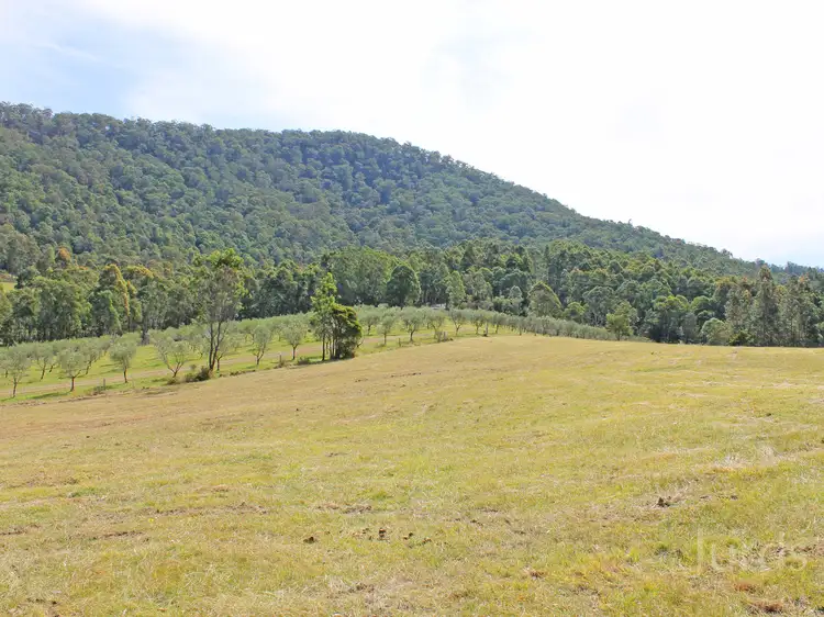 Sixth view of Homely rural property listing, Lot 200 Lewis Lane, Millfield NSW 2325