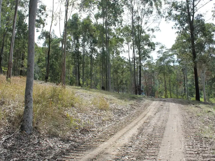 Seventh view of Homely rural property listing, Lot 200 Lewis Lane, Millfield NSW 2325