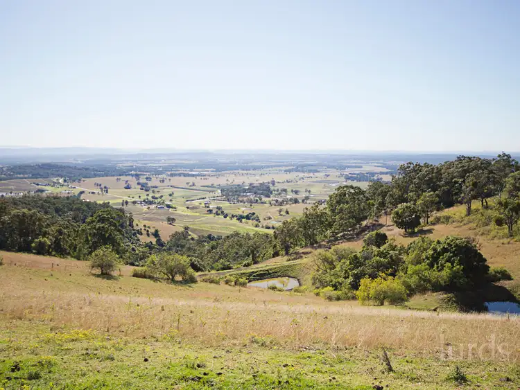 Main view of Homely rural property listing, 427 Pokolbin Mountains Road, Pokolbin NSW 2320