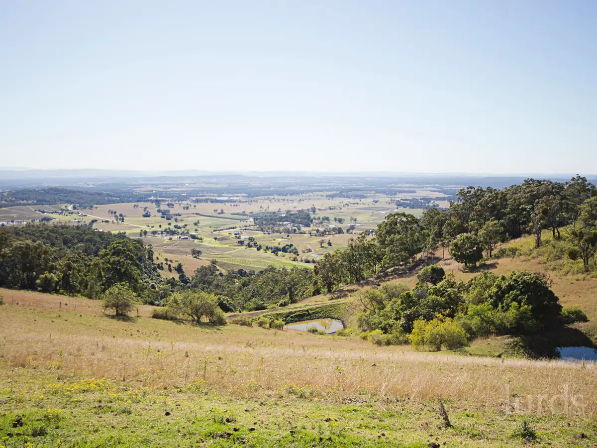 Main view of Homely rural property listing, 427 Pokolbin Mountains Road, Pokolbin NSW 2320