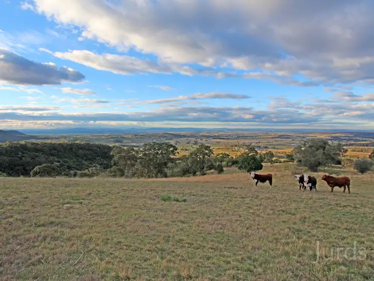 Third view of Homely rural property listing, 427 Pokolbin Mountains Road, Pokolbin NSW 2320
