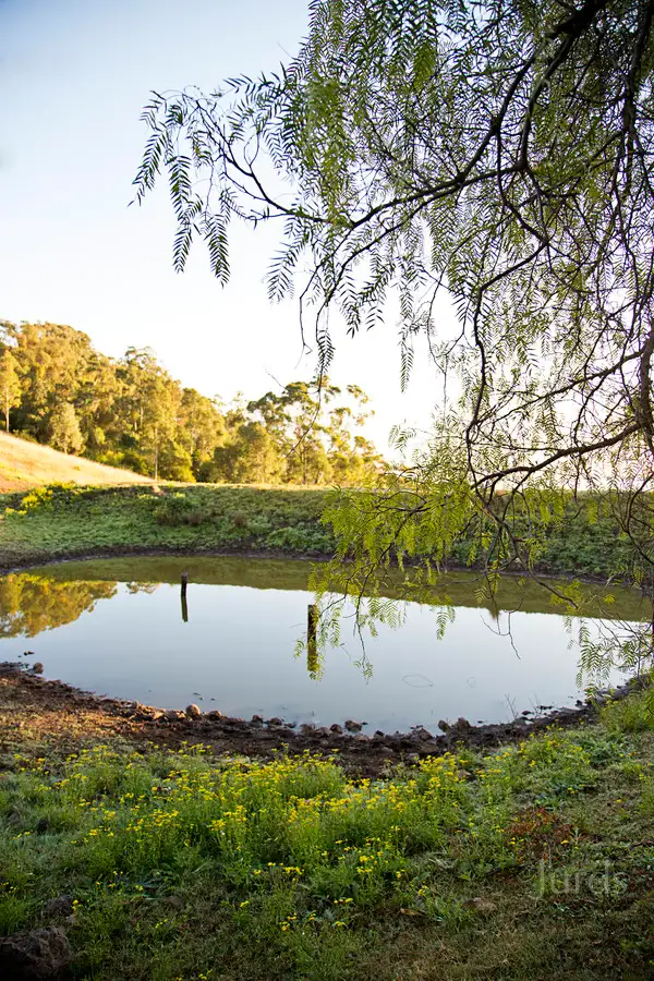 Fifth view of Homely rural property listing, 427 Pokolbin Mountains Road, Pokolbin NSW 2320