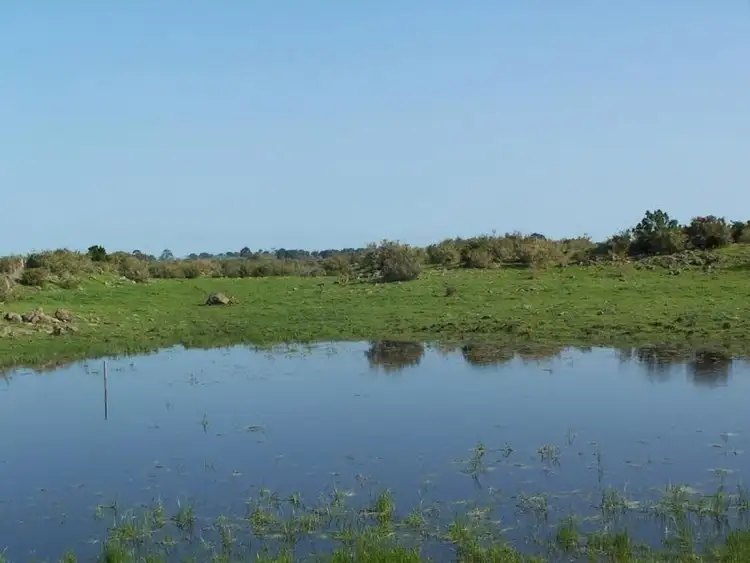 Main view of Homely rural property listing, 315 Beeac-Dreeite Road, Beeac VIC 3251