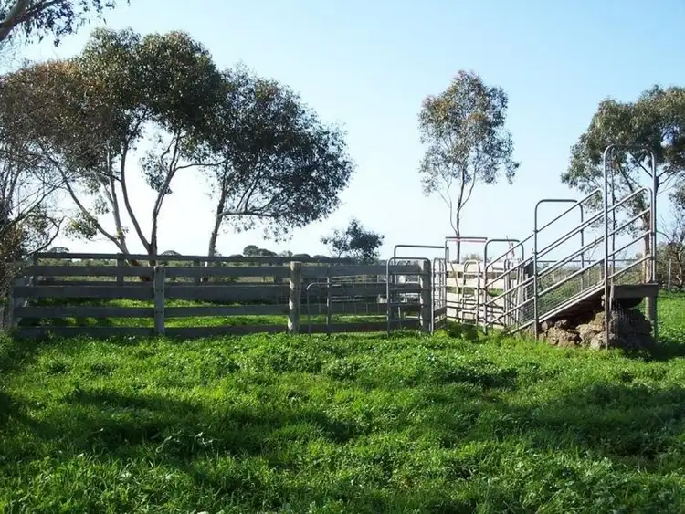 Fourth view of Homely rural property listing, 315 Beeac-Dreeite Road, Beeac VIC 3251