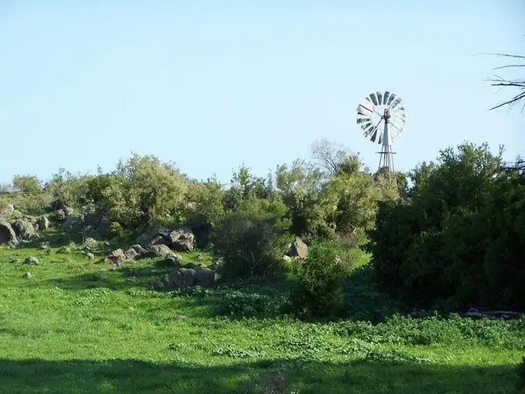 Seventh view of Homely rural property listing, 315 Beeac-Dreeite Road, Beeac VIC 3251