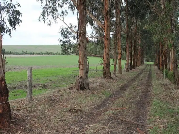 Fifth view of Homely rural property listing, 365 Irrewillipe Road, Elliminyt VIC 3250