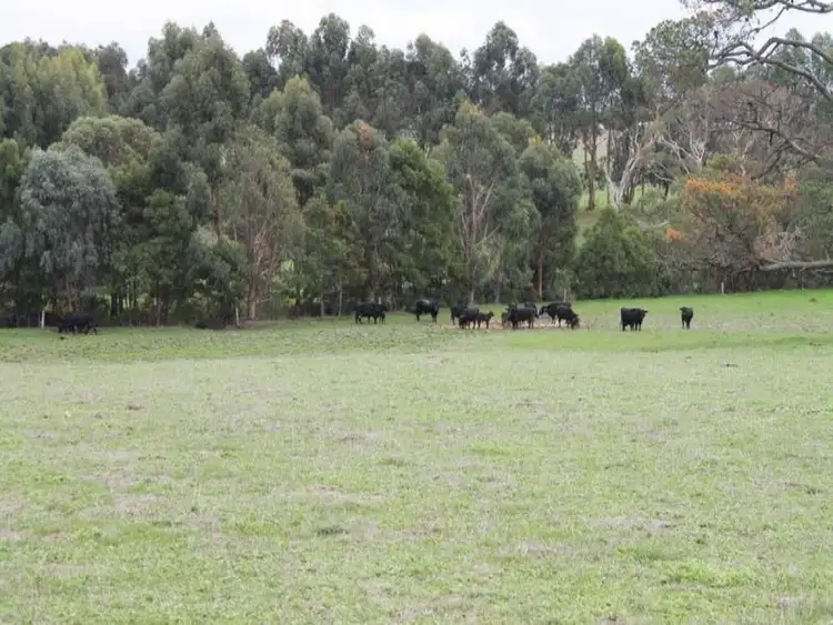 Sixth view of Homely rural property listing, 365 Irrewillipe Road, Elliminyt VIC 3250